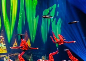 Torna in Italia il Cirque du Soleil, in scena ‘Ovo’ e la vita curiosa degli insetti
