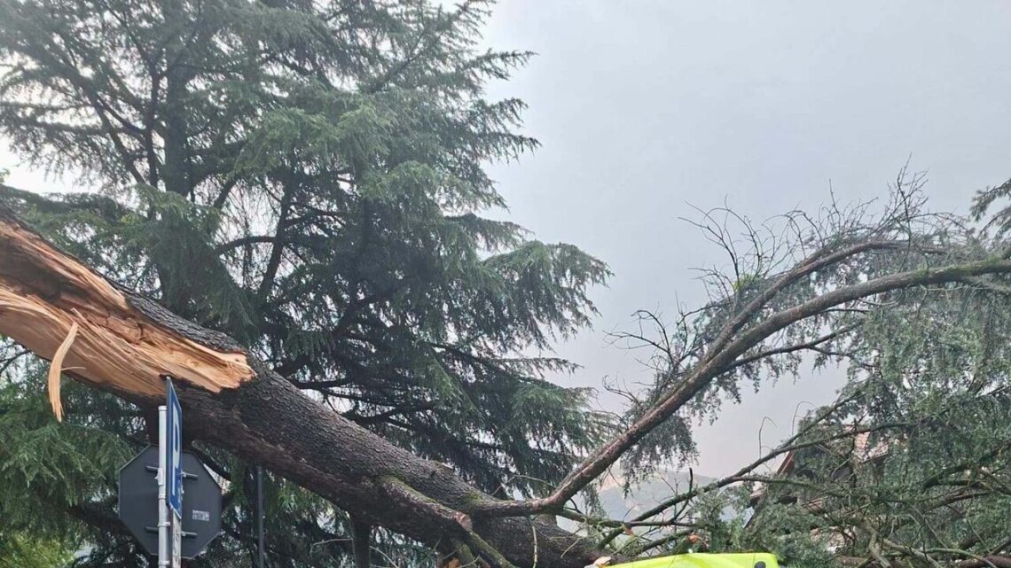 Albero cade su bus di linea durante un temporale in Alto Adige