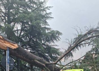 Albero cade su bus di linea durante un temporale in Alto Adige