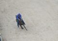 Palio Siena, vince la contrada del Nicchio