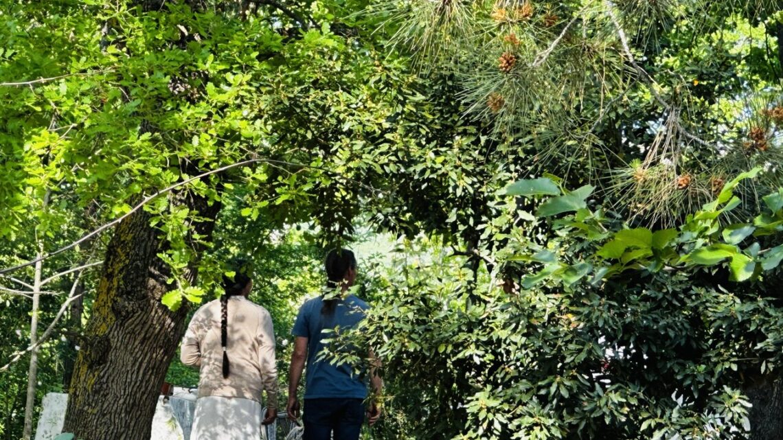 Pillon, i ‘bimbi del bosco’ a Palmoli per poche ore la prossima settimana